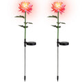2-Pack: Solar LED Chrysanthemum Lights by DailySale