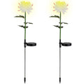 2-Pack: Solar LED Chrysanthemum Lights by DailySale