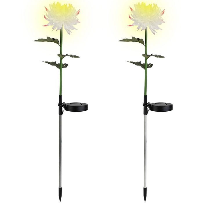 2-Pack: Solar LED Chrysanthemum Lights by DailySale