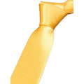 2-Pack: Solid Colored Pure Color Neck Ties by DailySale
