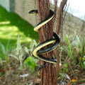 2-Piece: 50" Long Realistic Rubber Snakes by DailySale