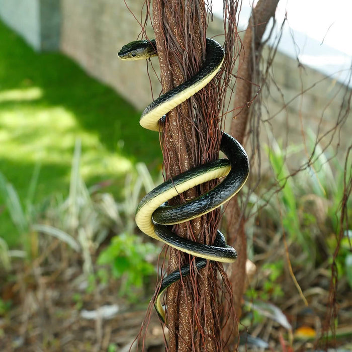 2-Piece: 50" Long Realistic Rubber Snakes by DailySale