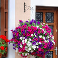 2-Piece: Iron Plant Hanging Bracket Plant Hanger Wall Hooks by DailySale