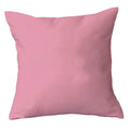 2-Piece: Solid Colored Simple Square Pillowcases by DailySale