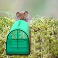 2-Pieces: Reusable Humane Mouse Trap by DailySale