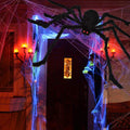 200" Halloween Spider Web and 59" Giant Spider Decoration by DailySale