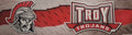 Rico NCAA Sports Car Auto Bumper Sticker, Choose Your Team by Vanessa Jane