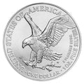 2022 $1 American Silver Eagle 1 Oz BU by DailySale