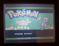 Pokemon Leaf Yellow GBA ROM Hack Video Game Custom Gameboy Advance by VintageVideoGameStore