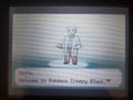 Pokemon Creepy Black GBA ROM Hack Video Game Custom Gameboy Advance by VintageVideoGameStore