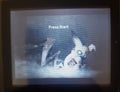 Pokemon Cursed GBA ROM Hack Video Game Custom Gameboy Advance by VintageVideoGameStore