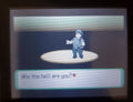 Pokemon Cawps GBA ROM Hack Video Game Custom Gameboy Advance by VintageVideoGameStore