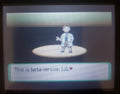 Pokemon Hyetology GBA ROM Hack Video Game Custom Gameboy Advance by VintageVideoGameStore