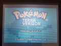 Pokemon Terra Ruby GBA ROM Hack Video Game Custom Gameboy Advance by VintageVideoGameStore