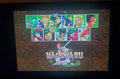 Samurai Shodown Sega Genesis Mega Drive Video Game Cartridge 1994 by VintageVideoGameStore