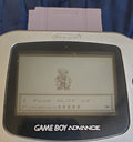 Pokemon Cock GBC ROM Hack Video Game Custom Gameboy Color by VintageVideoGameStore