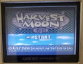 Harvest Moon GB Gameboy Video Game Cartridge Game Boy 1997 by VintageVideoGameStore