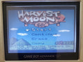 Harvest Moon 2 GBC Gameboy Color Video Game Cartridge Game Boy 2000 by VintageVideoGameStore