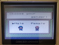 Harvest Moon 2 GBC Gameboy Color Video Game Cartridge Game Boy 2000 by VintageVideoGameStore