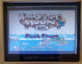 Harvest Moon 3 GBC Game Boy Color Video Game Cartridge 2001 by VintageVideoGameStore