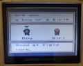Harvest Moon 3 GBC Game Boy Color Video Game Cartridge 2001 by VintageVideoGameStore