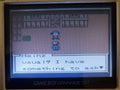 Harvest Moon 3 GBC Game Boy Color Video Game Cartridge 2001 by VintageVideoGameStore