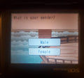 Harvest Moon DS Island of Happiness NDS Video Game Nintendo DS 2007 by VintageVideoGameStore