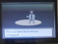 Pokemon R.O.W.E GBA Custom Pokemon ROM Hack Video Game Boy Advance by VintageVideoGameStore