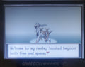 Pokemon Hisui Red GBA Custom Pokemon ROM Hack Video Game Boy Advance by VintageVideoGameStore