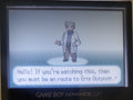Pokemon Amalga Magenta GBA Custom Pokemon ROM Hack Video Game Boy Advance by VintageVideoGameStore