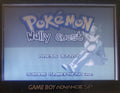 Pokemon Wally Quest GBA Pokemon ROM Hack Video Game Boy Advance by VintageVideoGameStore
