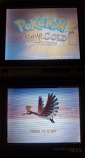 Pokemon GarbageGold NDS Nintendo DS Custom ROM Hack Video Game by VintageVideoGameStore