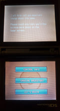 Pokemon GarbageGold NDS Nintendo DS Custom ROM Hack Video Game by VintageVideoGameStore