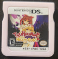 Pokemon Touhoumon HeartGold NDS Nintendo DS Custom ROM Hack Video Game by VintageVideoGameStore