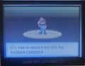Super MarioMon GBA ROM Hack Video Game Boy Advance Pokemon by VintageVideoGameStore