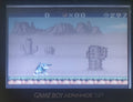 Donkey Kong 5 A Journey Over Time and Space Video Game Boy Color GBC by VintageVideoGameStore