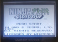Ninja Gaiden Shadow GB Video Game Catridge Gameboy 1991 by VintageVideoGameStore