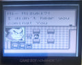 Grandia Parallel Trippers GBC Video Game Catridge Gameboy Color by VintageVideoGameStore