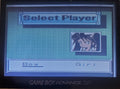 Survival Kids 1 GBC Video Game Catridge Gameboy Color 1999 by VintageVideoGameStore