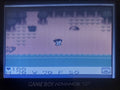Survival Kids 1 GBC Video Game Catridge Gameboy Color 1999 by VintageVideoGameStore