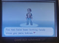 Pokemon Gary's Mod GBA ROM Hack Video Game Boy Advance by VintageVideoGameStore