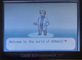 Pokemon Touhou Puppet Play GBA ROM Hack Video Game Boy Advance by VintageVideoGameStore