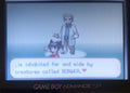 Pokemon Touhou Puppet Play GBA ROM Hack Video Game Boy Advance by VintageVideoGameStore