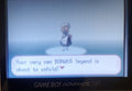 Pokemon Touhou Puppet Play GBA ROM Hack Video Game Boy Advance by VintageVideoGameStore