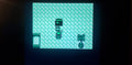 Pokemon Green N64 Nintendo 64 Video Game Cartridge ROM Hack by VintageVideoGameStore