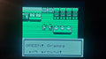 Pokemon Green N64 Nintendo 64 Video Game Cartridge ROM Hack by VintageVideoGameStore