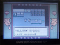 Pokemon Yellow Legacy GBA ROM Hack Video Game Boy Advance by VintageVideoGameStore
