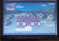 Conker's Pocket Tales Gameboy Color GBC Video Game Catridge 1999 by VintageVideoGameStore