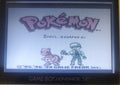 Pokemon Zard Version GBC Video Game Gameboy Color ROM Hack by VintageVideoGameStore