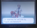 Pokemon Sako GBA ROM Hack Video Game Custom Gameboy Advance by VintageVideoGameStore
